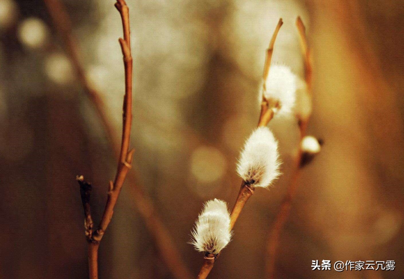 十句带福字的诗词，十种福气满满的打开方式，道尽人生百般滋味(图3)