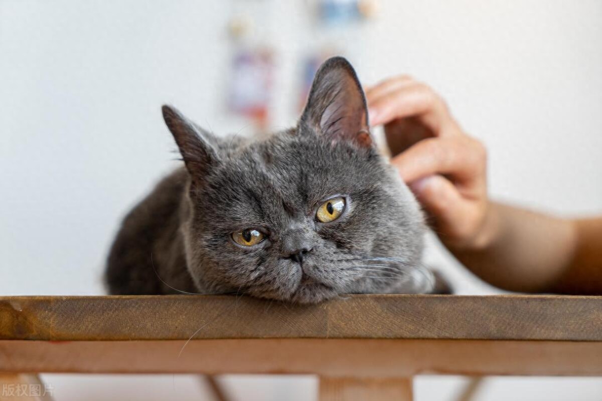 你不是脆弱，只是生病了；这个世界虽不美好，但有你才会熠熠发光(图5)