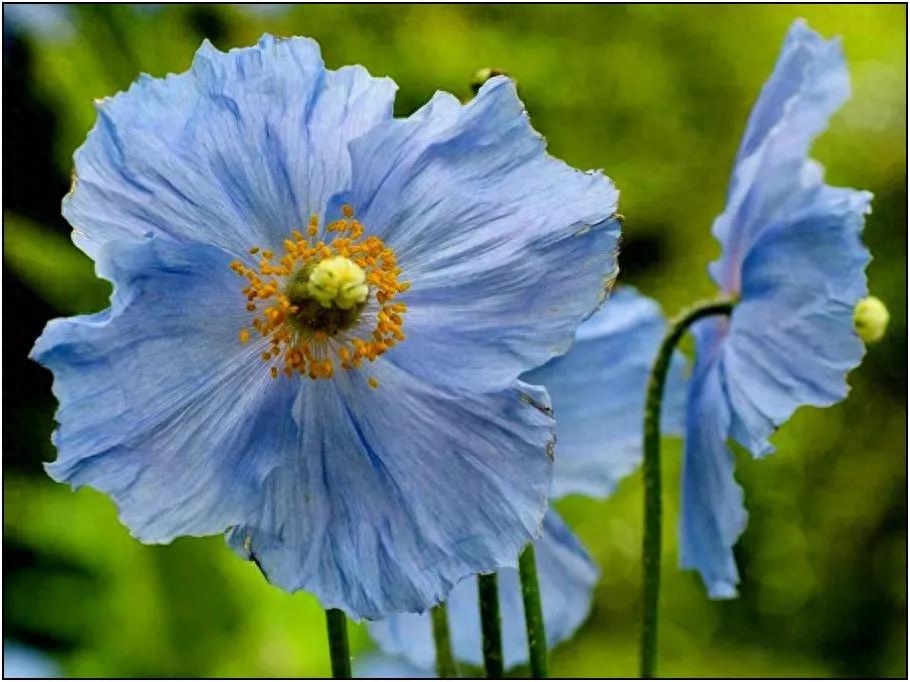 扎心语录，句句入魂7(图2)