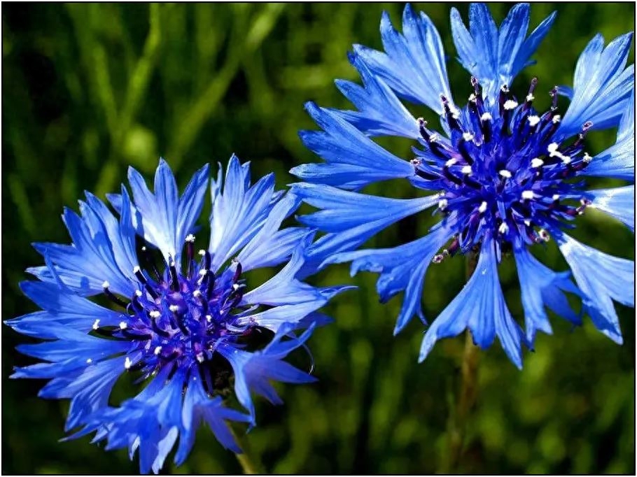 扎心语录，句句入魂7(图3)