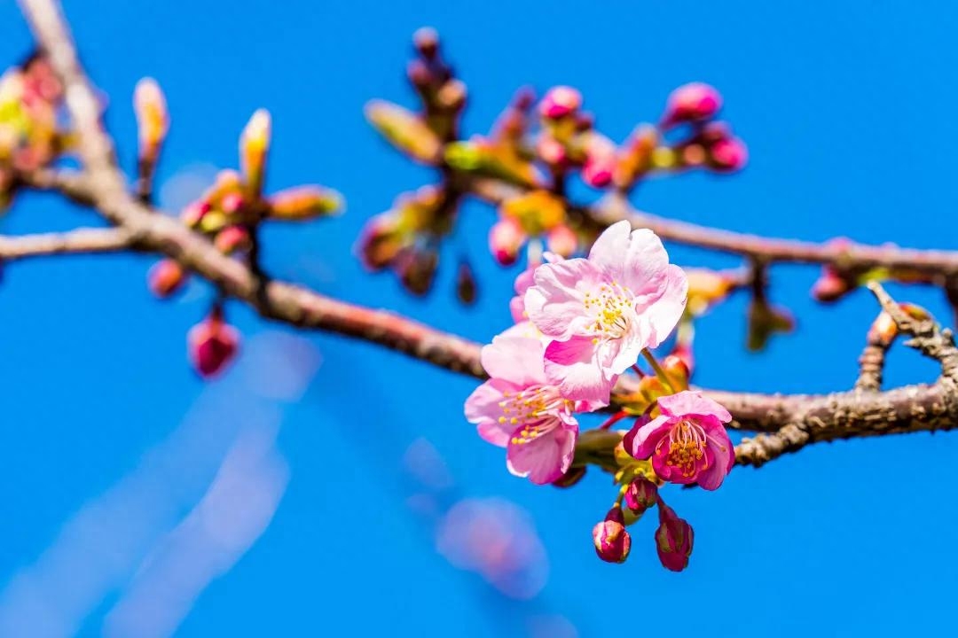 海明威说：“人用两年时间学会说话，却要用一辈子学会闭嘴。”(图2)