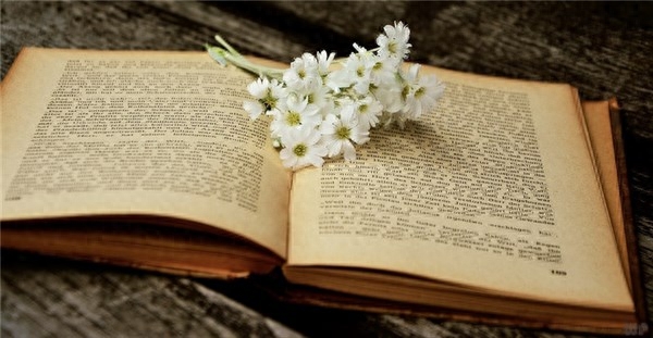 半生已过，静而不争，学会沉默，一切随缘(图1)