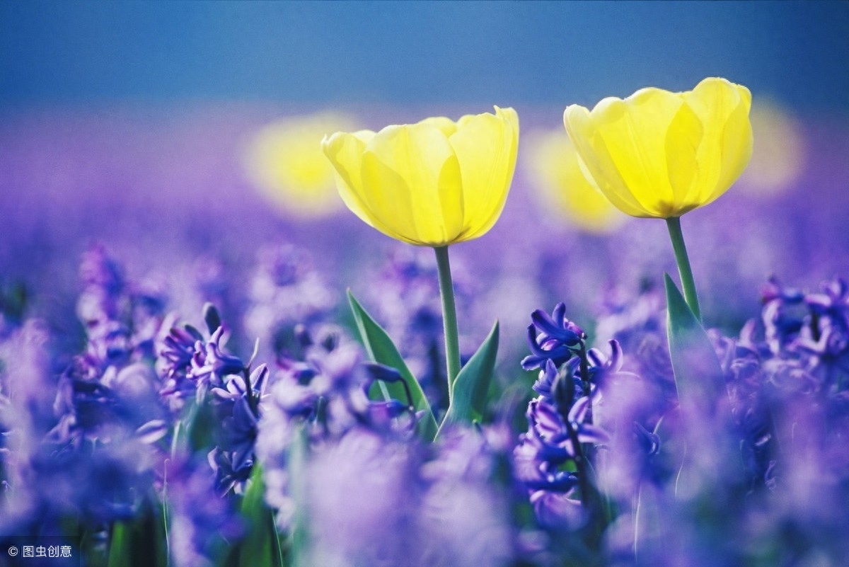 人啊，两年学说话，一生学闭嘴！（写的真好）(图1)