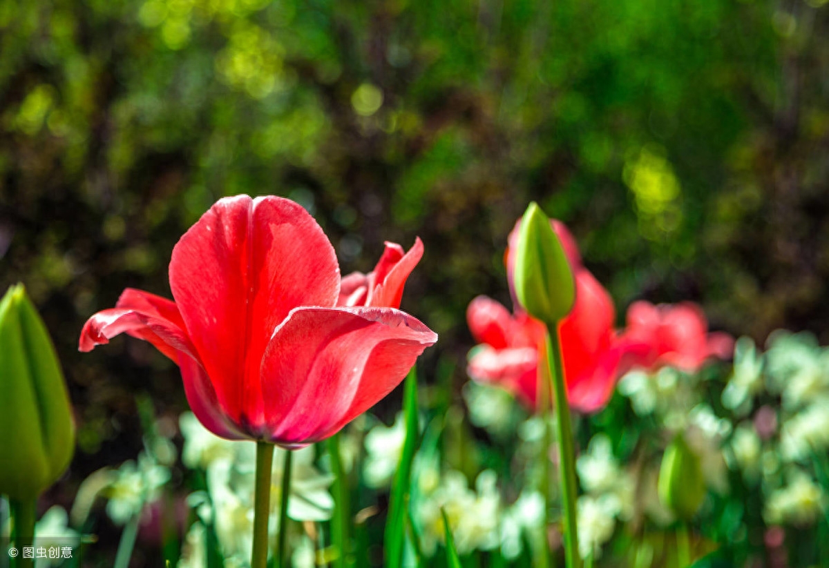 人啊，两年学说话，一生学闭嘴！（写的真好）(图2)