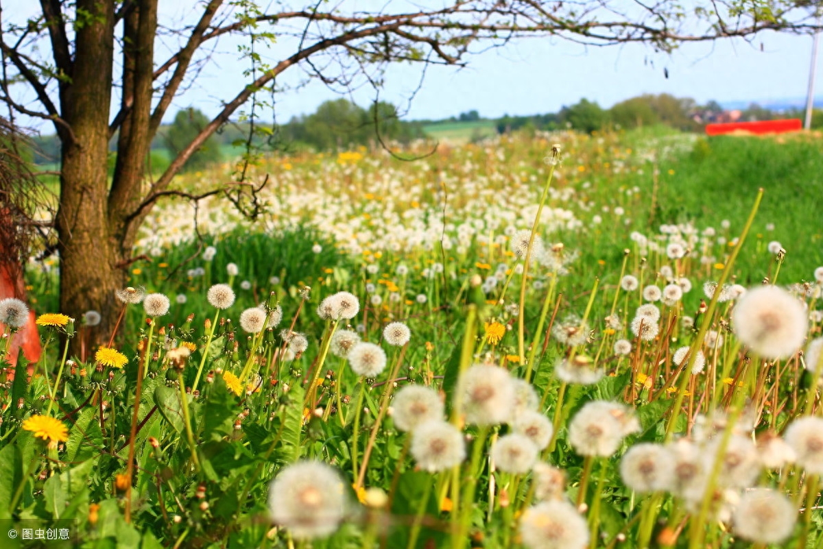 人啊，两年学说话，一生学闭嘴！（写的真好）(图5)