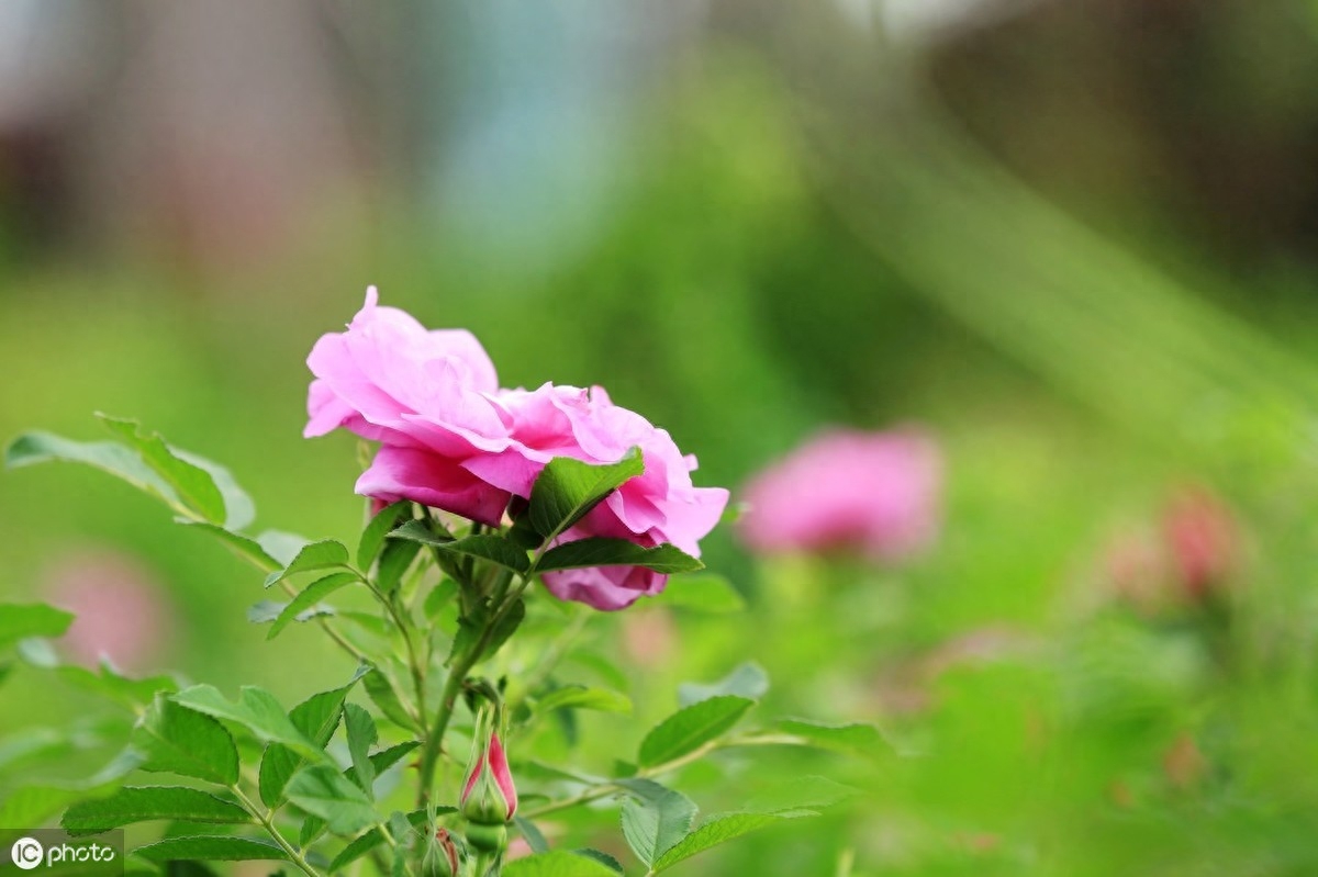 人啊，两年学说话，一生学闭嘴！（写的真好）(图6)
