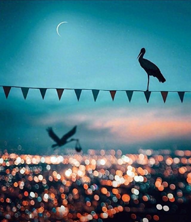 一个人孤独心累的说说，发朋友圈让人心疼！(图6)