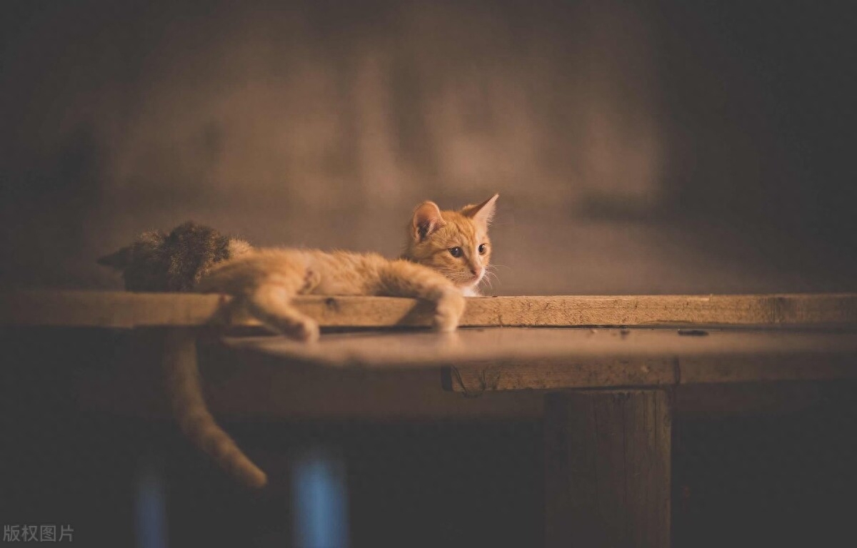 一个人一个城市的感悟（表达到一个新地方的句子）(图1)