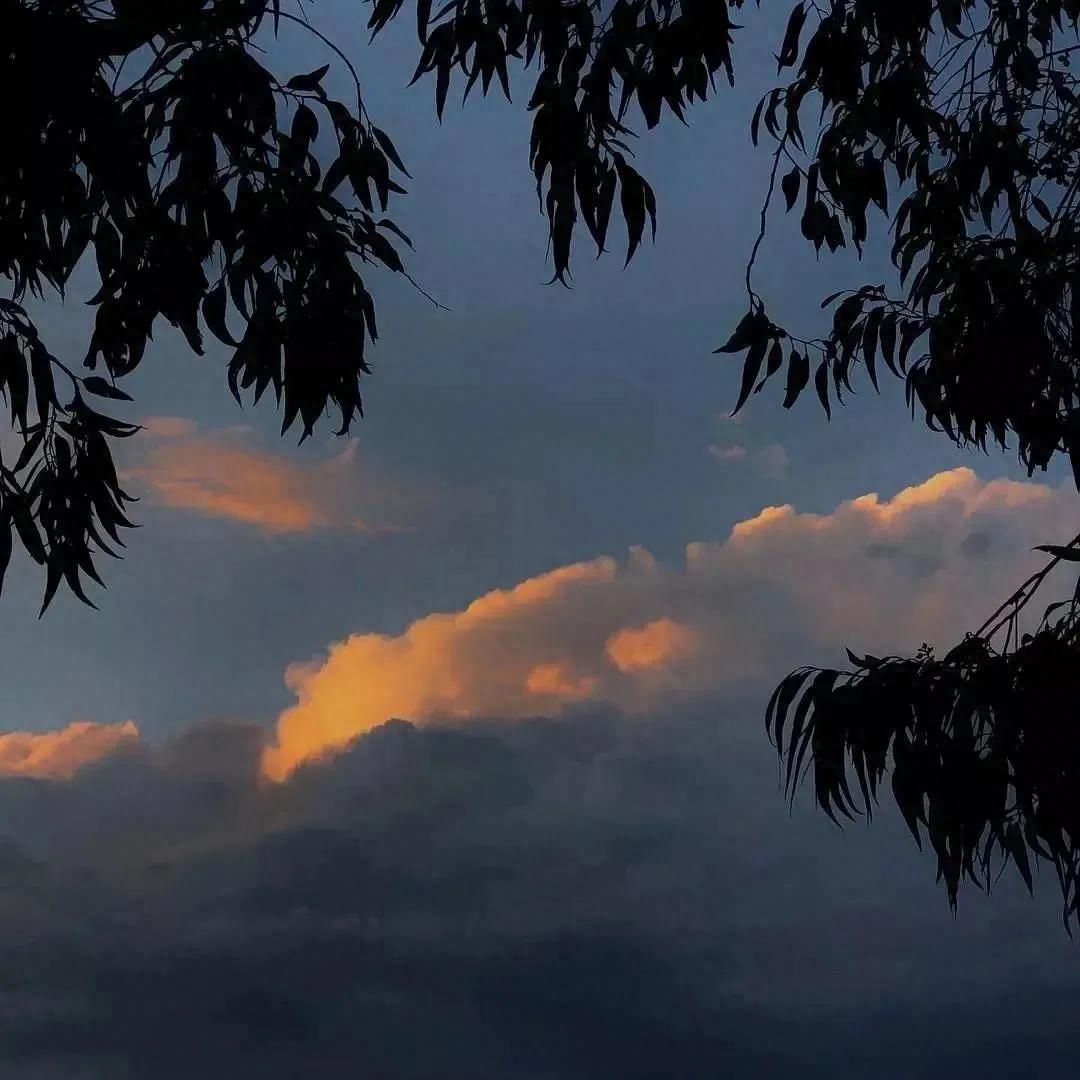 文案：“我们跑去远方，到陌生的城市，做真正的自己”(图4)