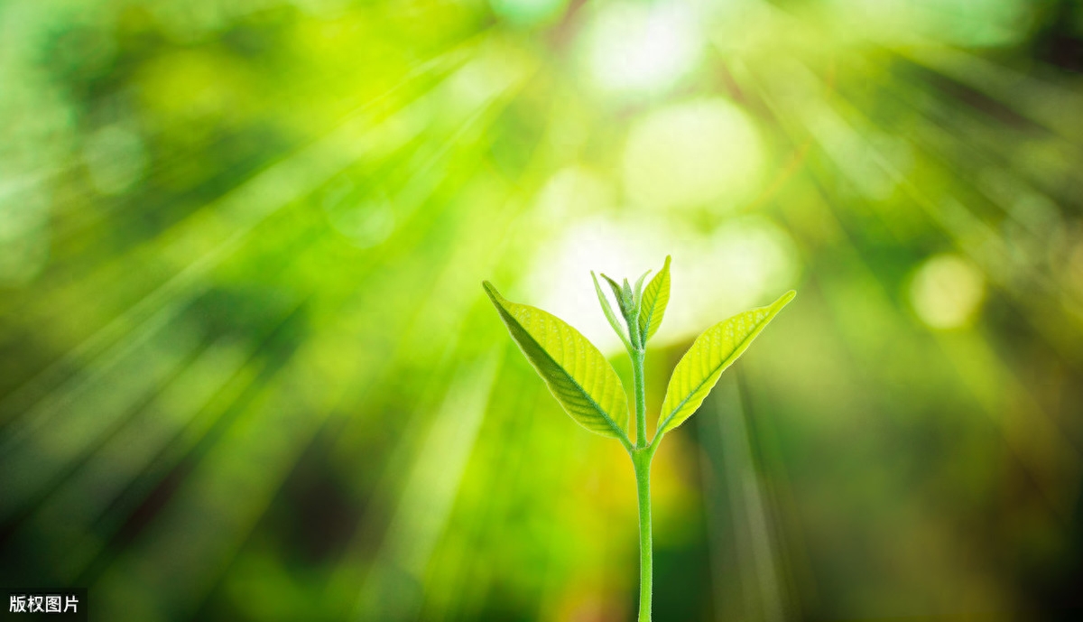 想放手又舍不得的说说，句句心痛！(图4)