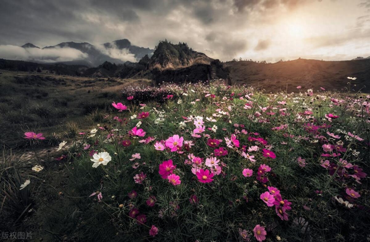 满满的不舍和牵挂句子：牵挂不舍，情难释怀(图5)