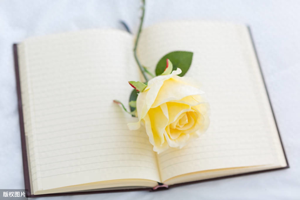 想放手又舍不得的说说，句句心酸！(图6)