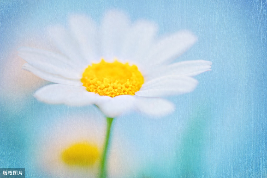 想放手又舍不得的说说，句句心酸！(图11)