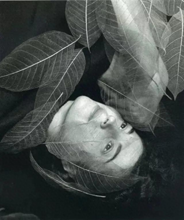 摄影大师说过的关于摄影的15条金句，总有一条适合你(图3)