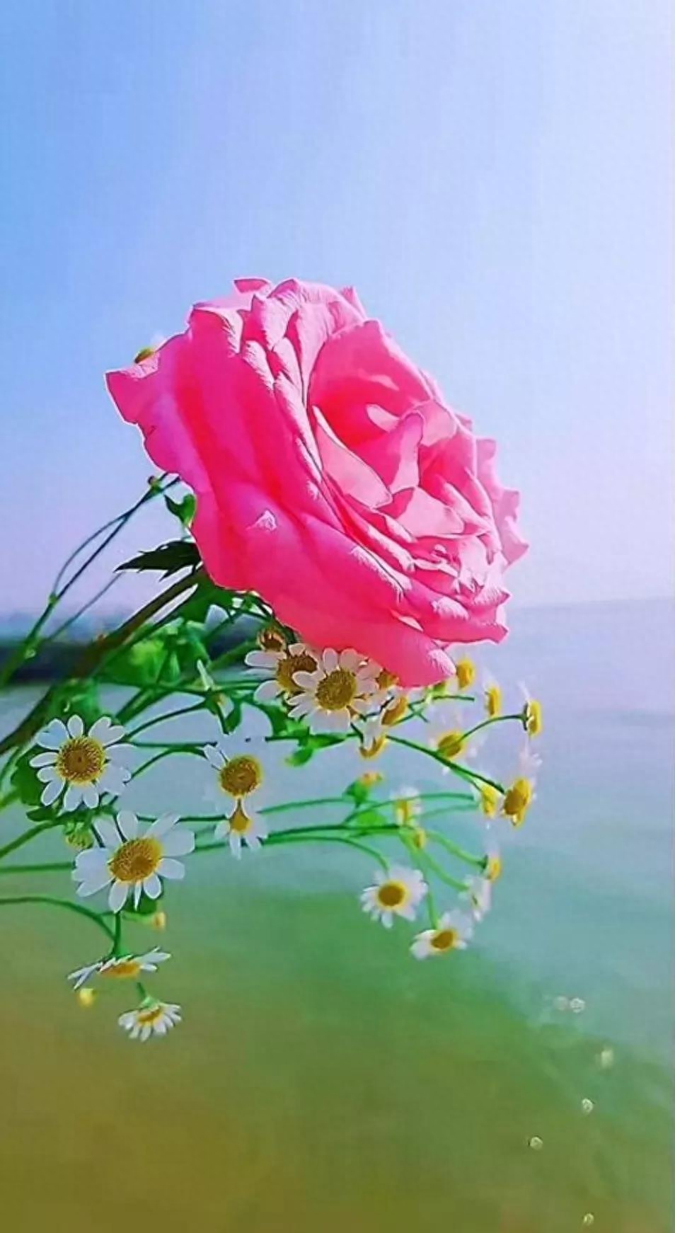 不是别人不及你，而是别人不是你，我心里只有你，我今生只爱你(图1)