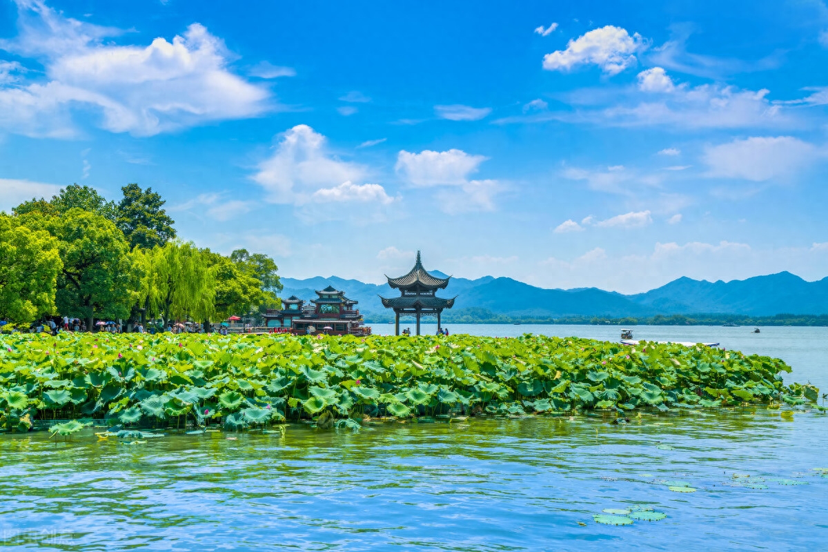 好好爱自己的唯美句子（余生疼爱自己，好好活着）(图1)