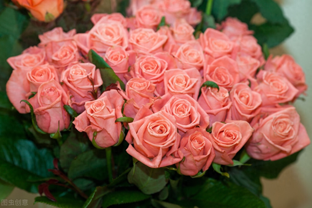 文案｜好好生活，好好爱自己(图6)