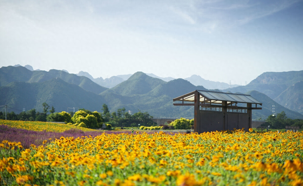 写给我心里的爱人：我真的想你，爱在心间，相思永远(图1)