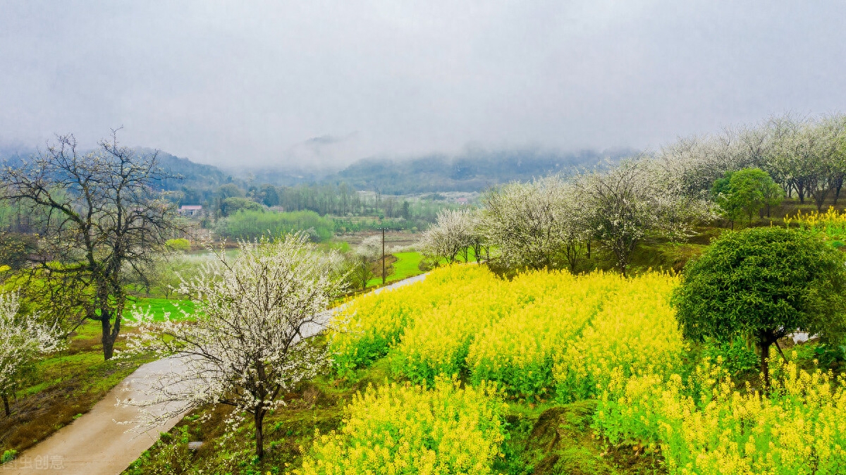 写给我心里的爱人：我真的想你，爱在心间，相思永远(图2)