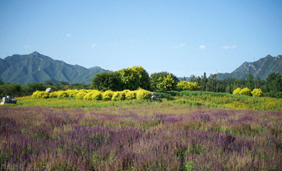 写给我心里的爱人：我真的想你，爱在心间，相思永远(图3)