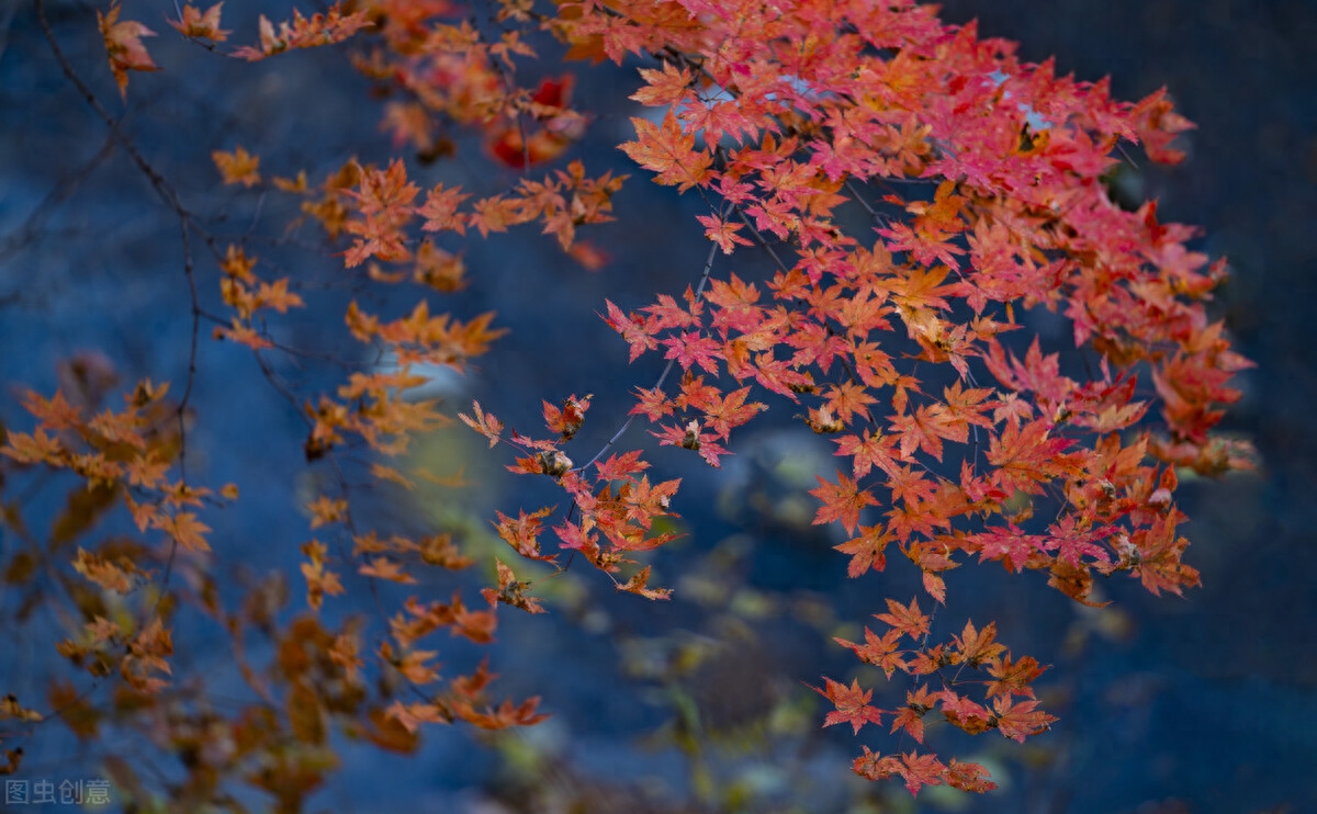 想你了，亲爱的，爱过一次，相思一生，缘分尽了，思念永恒(图1)