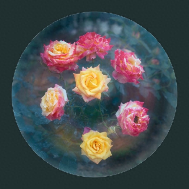 一次相遇，一生珍惜，深深地想念，成了心里的永恒(图3)