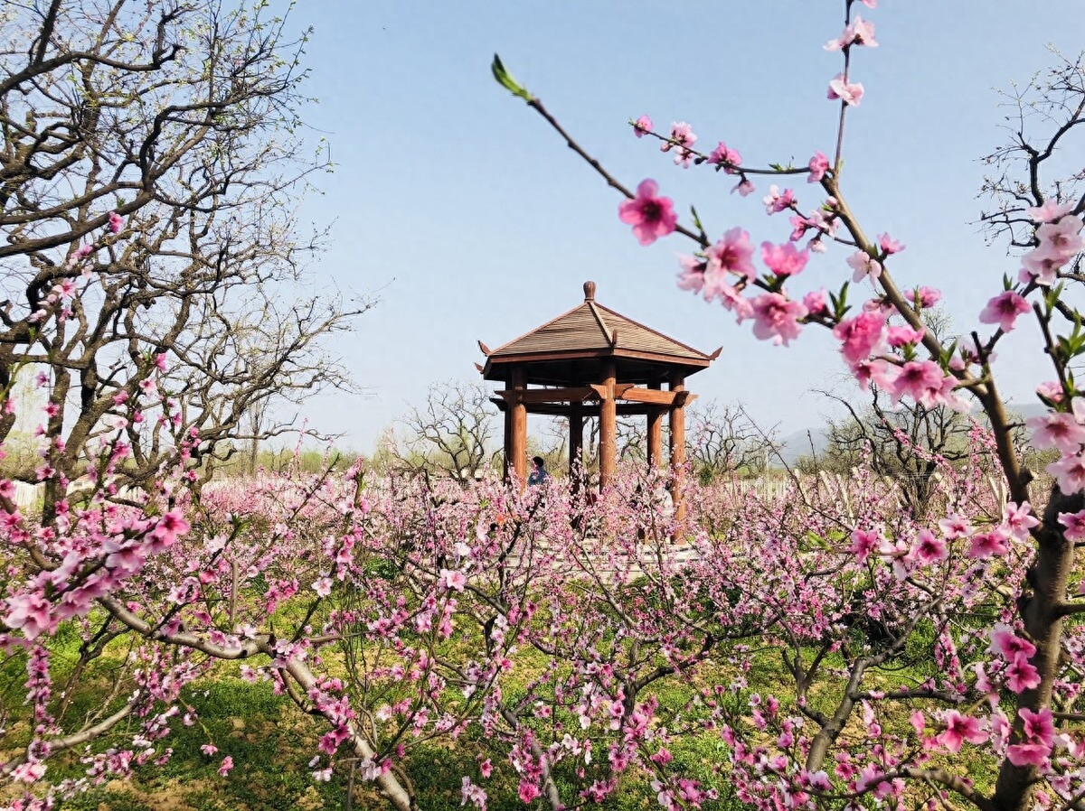 相思深深，痴念不变，深爱一人，永远永远(图1)