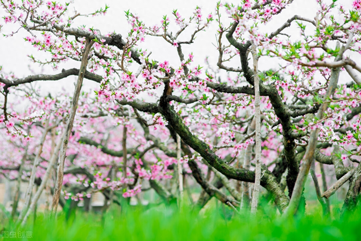 相思深深，痴念不变，深爱一人，永远永远(图3)