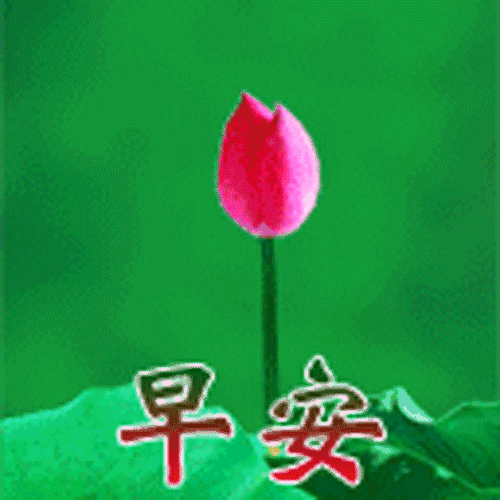 愿我的祝福，让你每天都会开心满怀，幸福常在，朋友，早安！(图9)