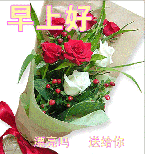 愿我的祝福，让你每天都会开心满怀，幸福常在，朋友，早安！(图11)