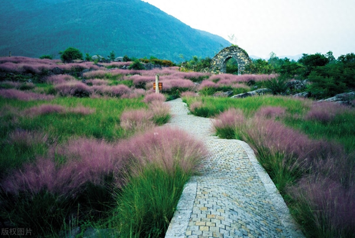 简单快乐生活的心态句子，开心每一天(图1)