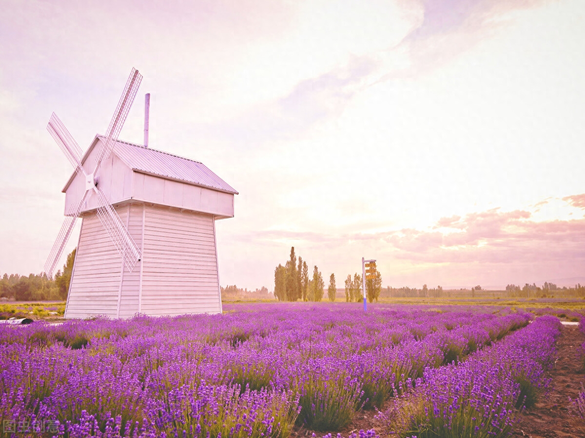 简单快乐生活的心态句子，开心每一天(图2)