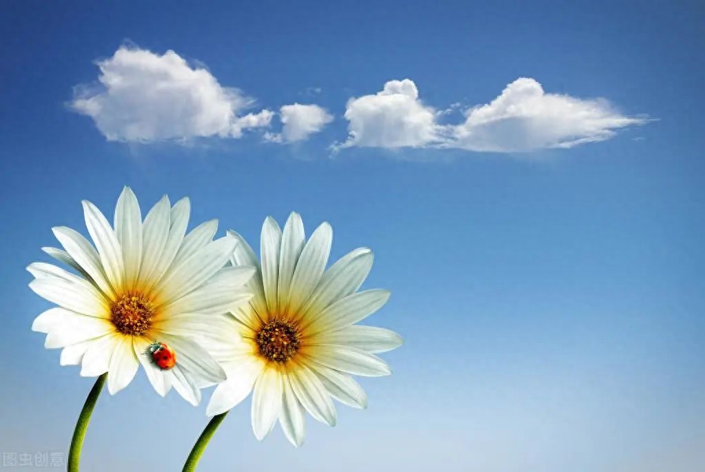 玩一天愉快的心情短句，让你轻松从容度过美好的一天(图2)