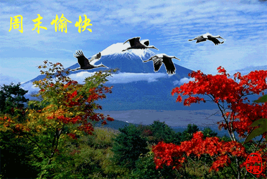 早晨，看见白云飘荡，愿你的心情如白云般自在；祝早安，开心每天(图5)