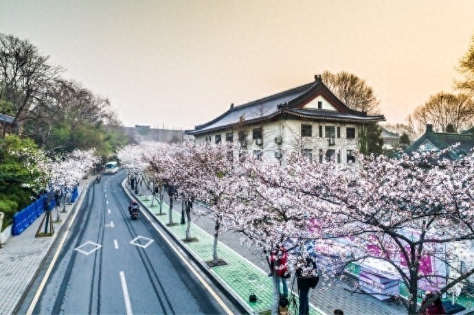 讓自己開心的朋友圈金句，每日一讀，豁達一生(图1)
