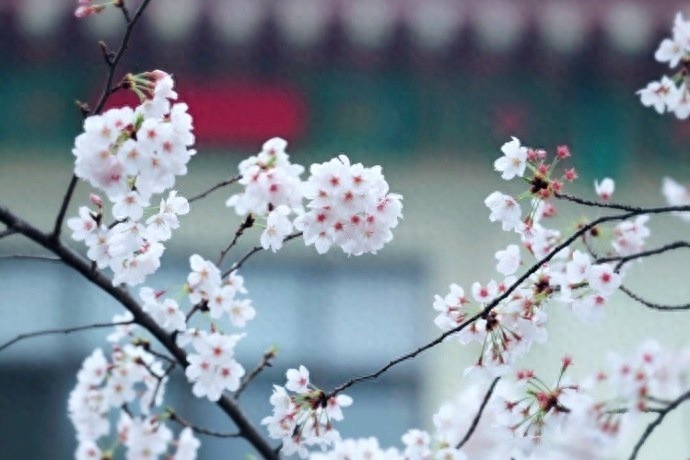 讓自己開心的朋友圈金句，每日一讀，豁達一生(图3)