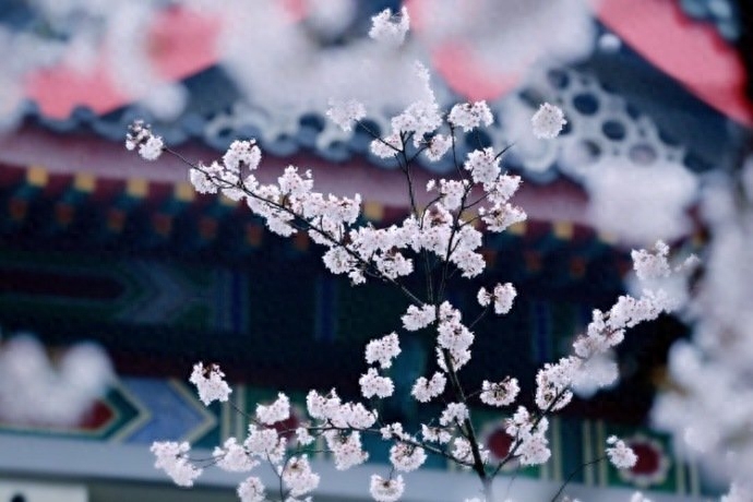讓自己開心的朋友圈金句，每日一讀，豁達一生(图6)