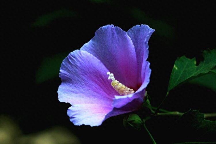 迷上，那个单眼皮的女生(图5)