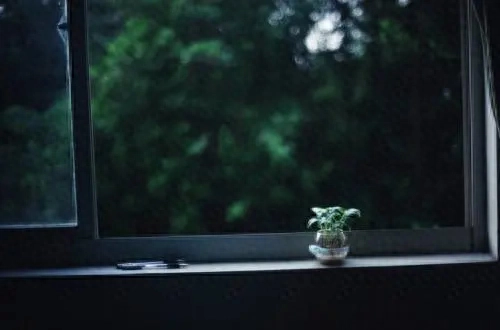 情感 | 单眼皮女人 | 逸云(图2)