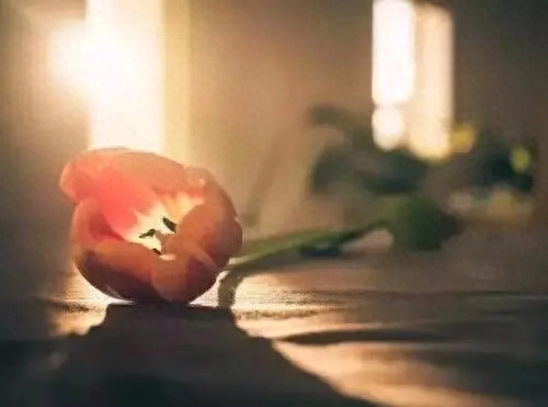 情感 | 单眼皮女人 | 逸云(图3)