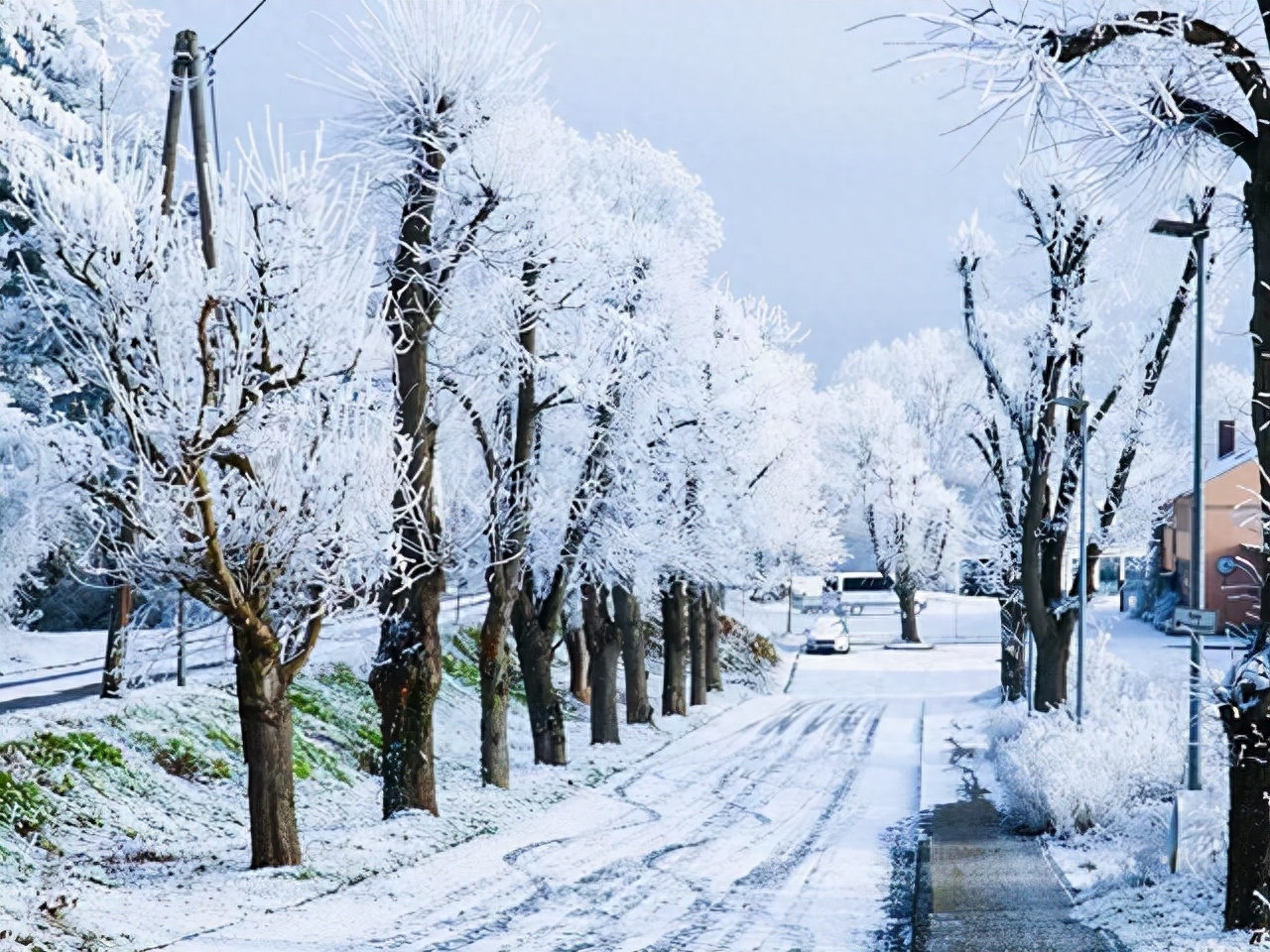 冬，天地初寒，愿你安暖无恙(图2)