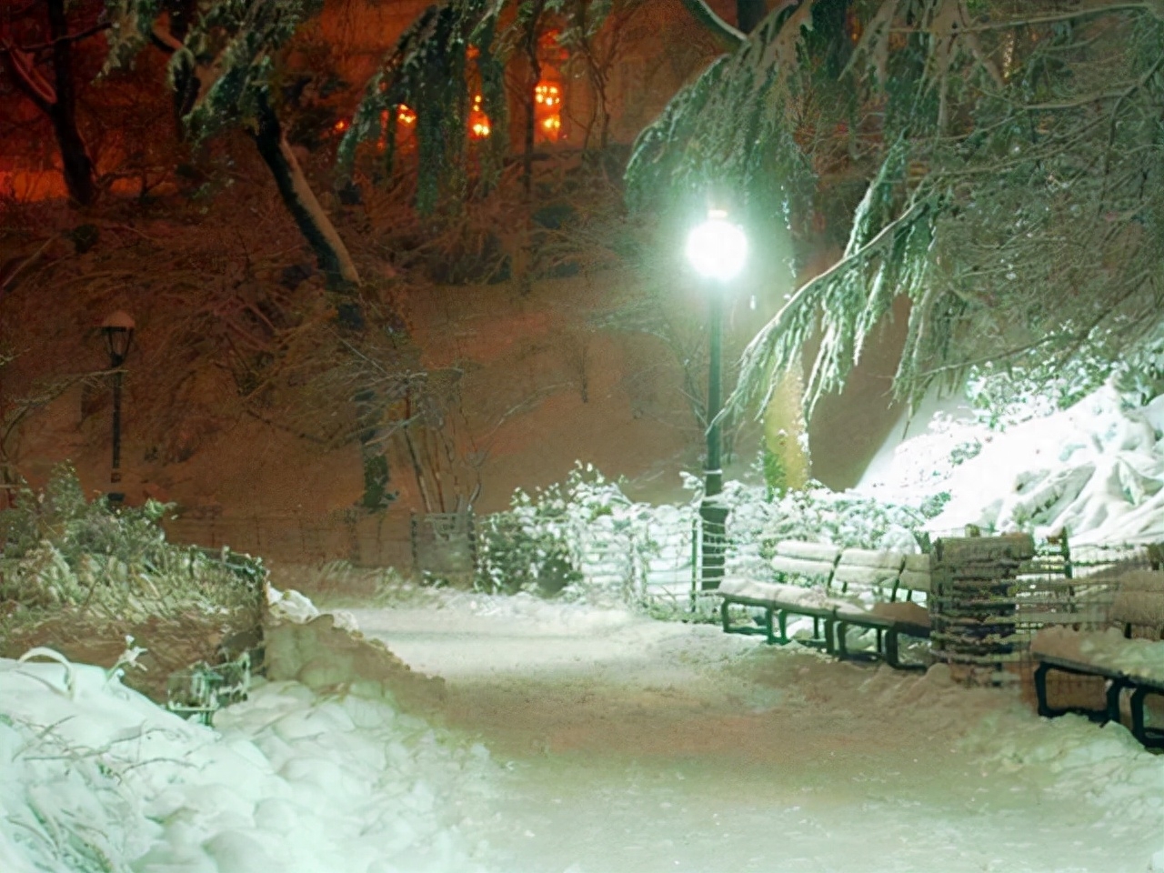 冬，天地初寒，愿你安暖无恙(图3)