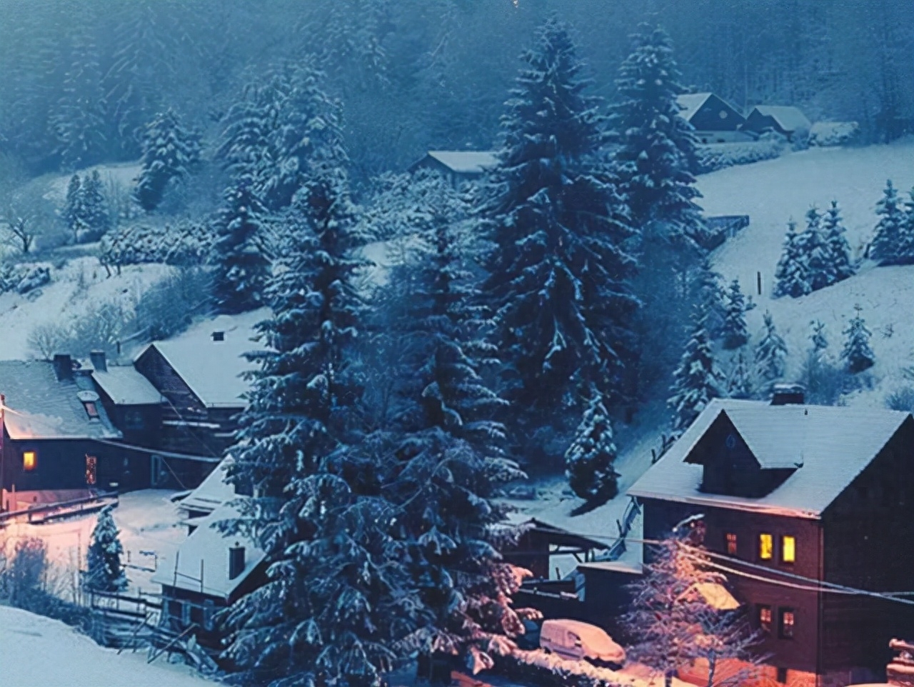 冬，天地初寒，愿你安暖无恙(图4)