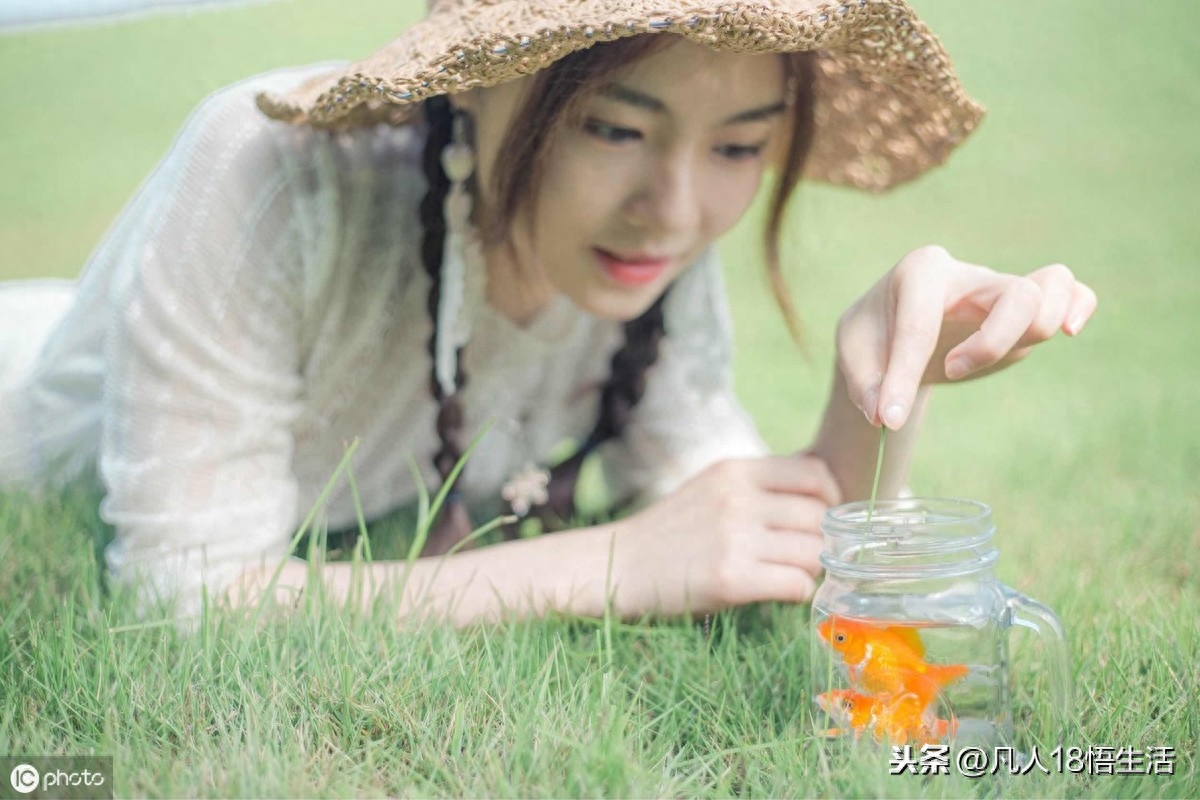 开心不开心的时候，是这些经典句子，让我顿悟，安然入眠(图3)