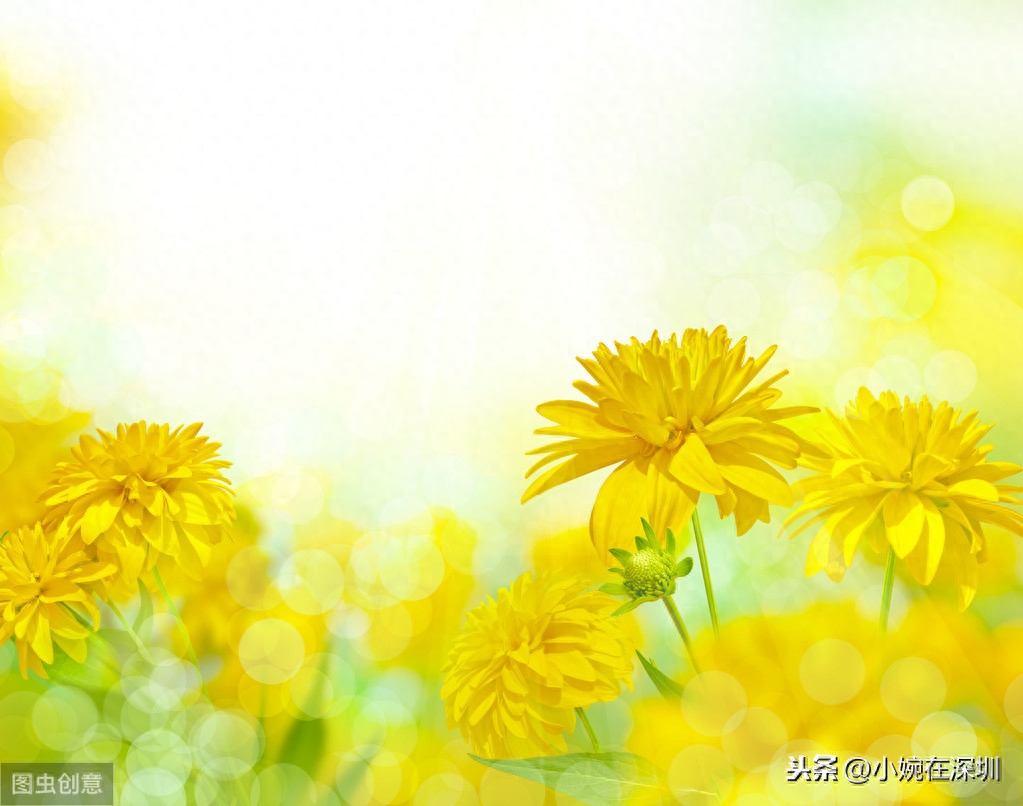 人生快乐不快乐看心情，心情好不好看心态，生活感悟励志正能量句(图2)