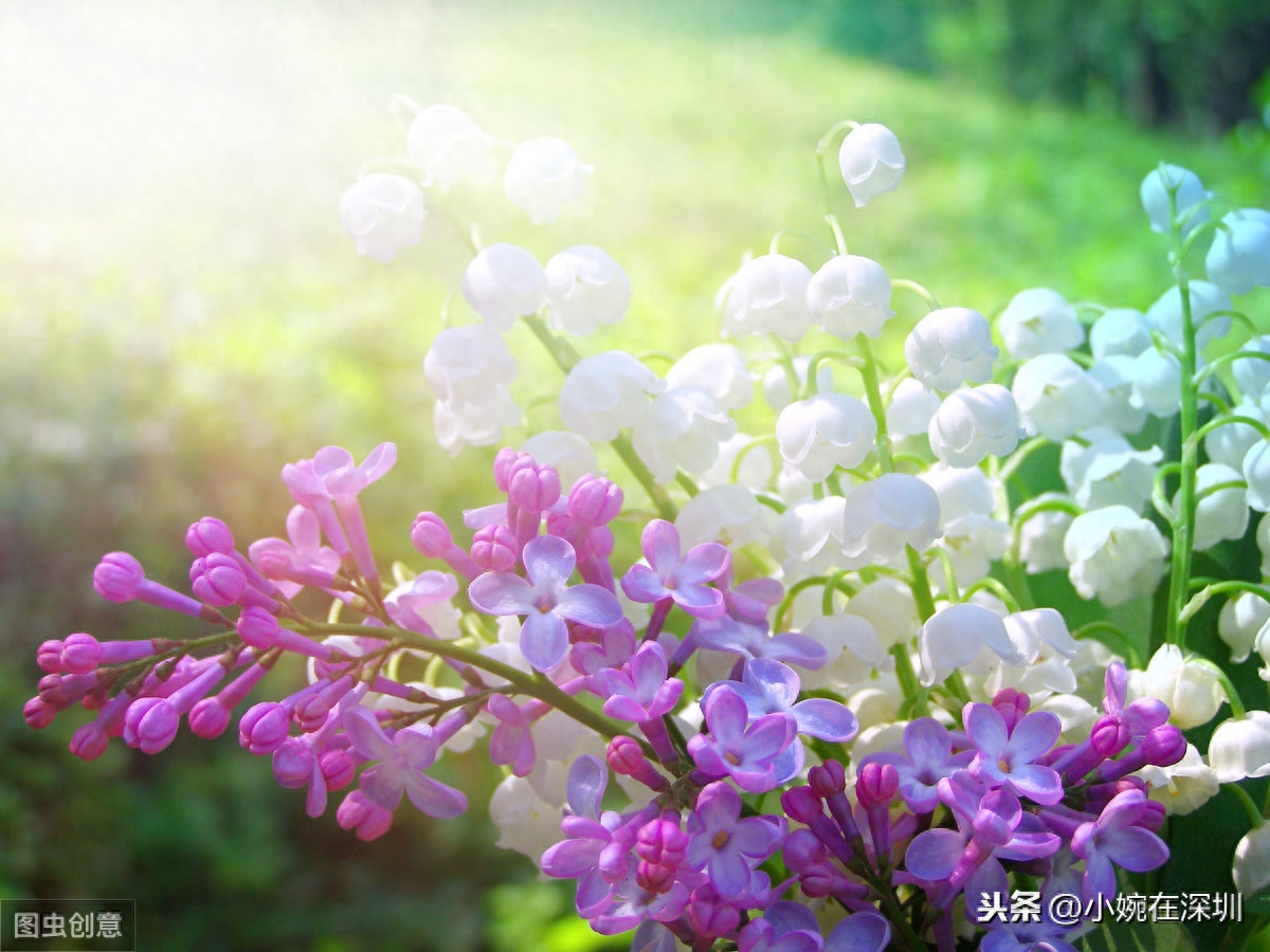 人生快乐不快乐看心情，心情好不好看心态，生活感悟励志正能量句(图4)