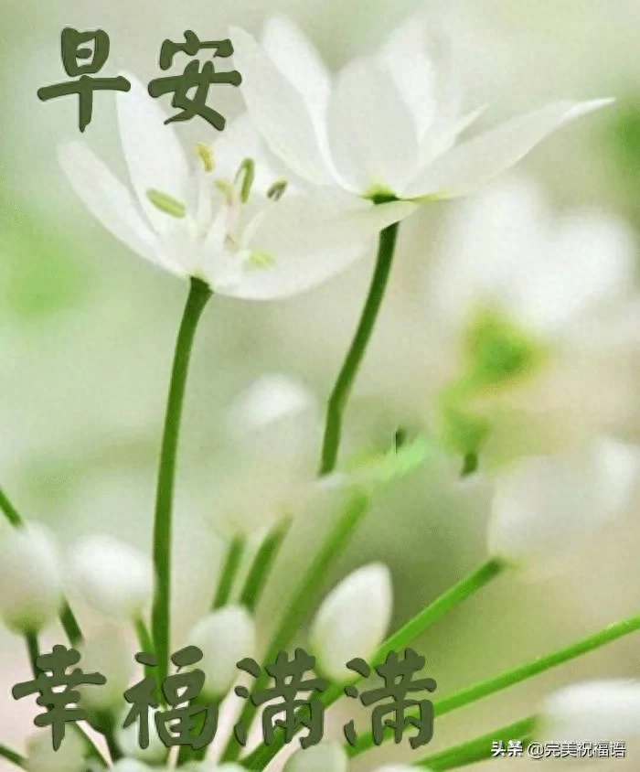 早上醒来笑一笑,心情快乐精神好;活络胫骨扭扭腰,生活健康每一秒(图7)