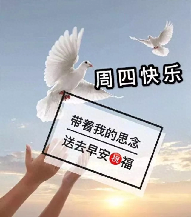 收拾心情，今天除了开心只能快乐，还有健康和平安，早安(图1)