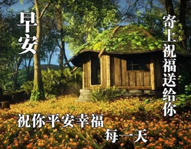 收拾心情，今天除了开心只能快乐，还有健康和平安，早安(图7)