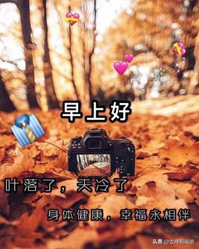 微信早晨暖心的祝福语句，句句温暖人心的早安问候语(图4)